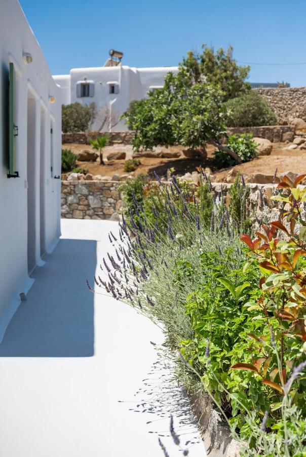 Dioni Villa Mykonos Strand Paraga Exterior foto